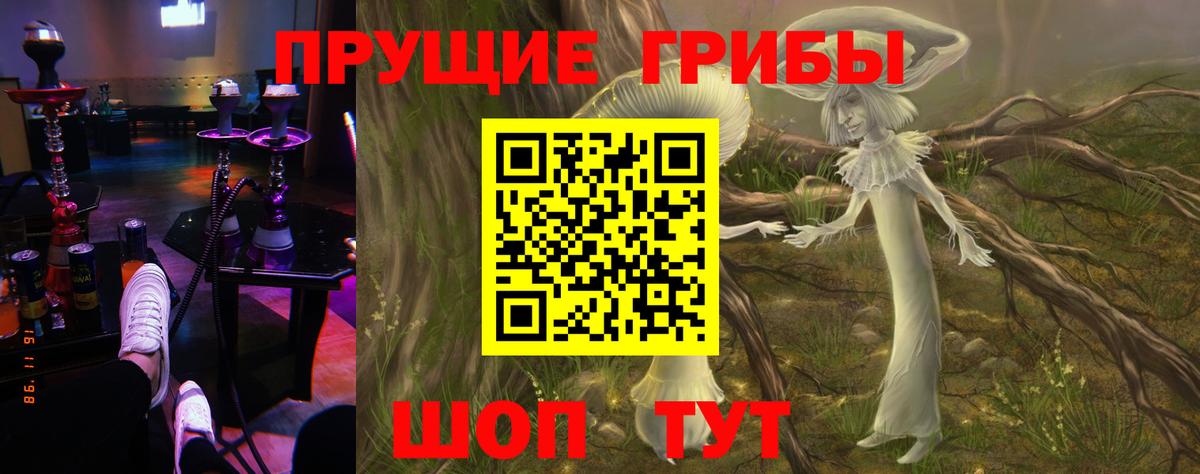 Псилоцибиновые грибы мицелий Анапа