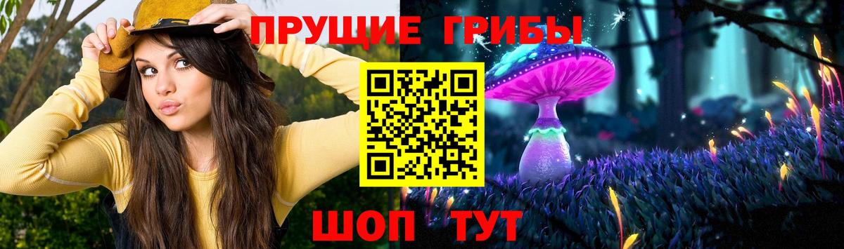 где продают   Вход с VPN  Анапа  Псилоцибиновые грибы прущие грибы 